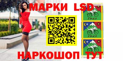 кокс Кингисепп